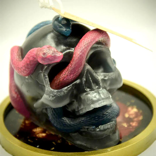 3D Skeleton Head Silicone Mold – Double Snake Skull Halloween Craft Mold